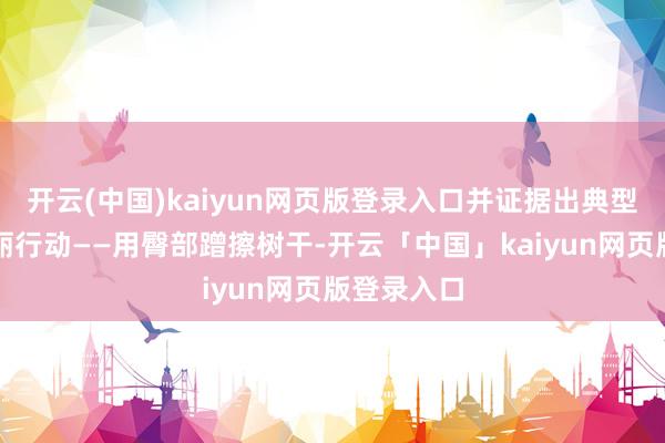 开云(中国)kaiyun网页版登录入口并证据出典型的领地艳丽行动——用臀部蹭擦树干-开云「中国」kaiyun网页版登录入口