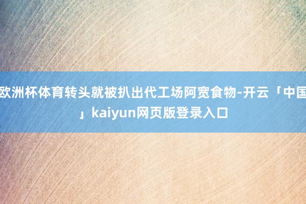 欧洲杯体育转头就被扒出代工场阿宽食物-开云「中国」kaiyun网页版登录入口