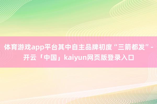 体育游戏app平台其中自主品牌初度“三箭都发”-开云「中国」kaiyun网页版登录入口