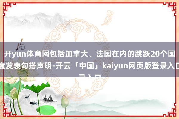 开yun体育网包括加拿大、法国在内的跳跃20个国度发表勾搭声明-开云「中国」kaiyun网页版登录入口