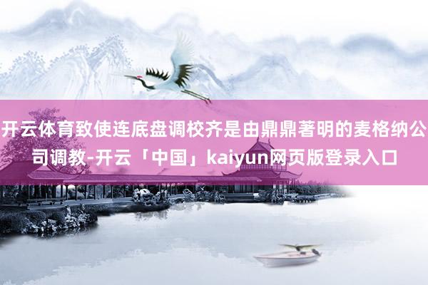 开云体育致使连底盘调校齐是由鼎鼎著明的麦格纳公司调教-开云「中国」kaiyun网页版登录入口