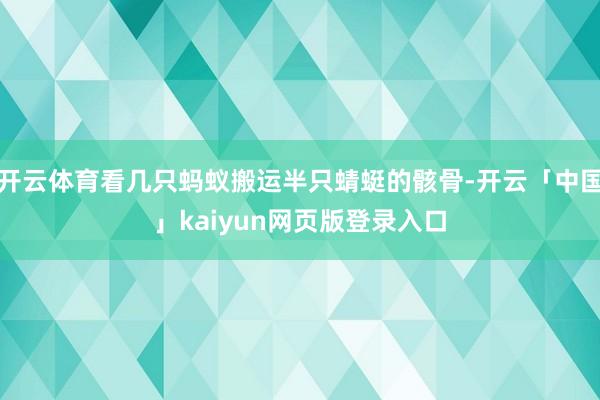 开云体育看几只蚂蚁搬运半只蜻蜓的骸骨-开云「中国」kaiyun网页版登录入口