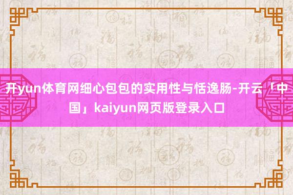 开yun体育网细心包包的实用性与恬逸肠-开云「中国」kaiyun网页版登录入口