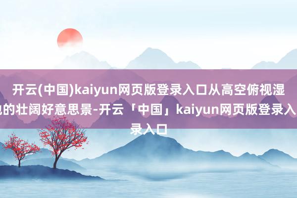 开云(中国)kaiyun网页版登录入口从高空俯视湿地的壮阔好意思景-开云「中国」kaiyun网页版登录入口