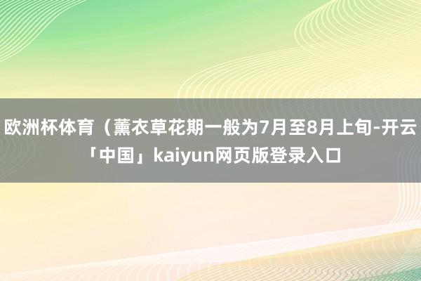 欧洲杯体育（薰衣草花期一般为7月至8月上旬-开云「中国」kaiyun网页版登录入口