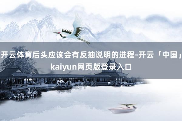 开云体育后头应该会有反抽说明的进程-开云「中国」kaiyun网页版登录入口